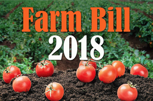 agriculture improvement bill