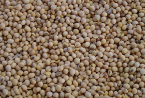 China buys millions of bushels of soybeans 