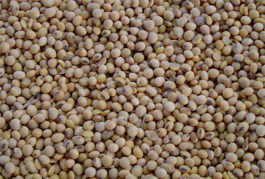 China buys billions of soybeans
